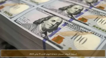 تحديثات الأحد.. أسعار الدولار تسجل تحرکات جديدة في البنوك المصرية خلال التعاملات صباح اليوم